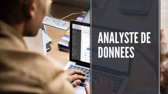 Analyste de données